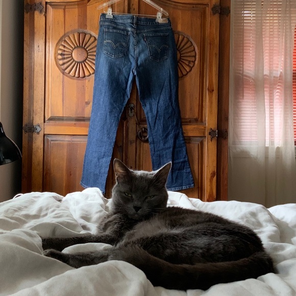 Meet your Posher, Dina - Picture 6 of 9